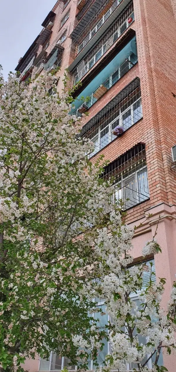 Sotiladi 4 xonali kvartira, 124.7 m², 6/9 qavat — Yunusobod tumani