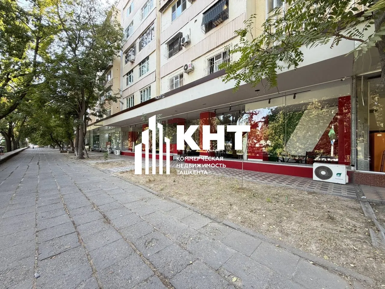 Ижарага берилади тижорат биноси, 242 м² — Миробод тумани