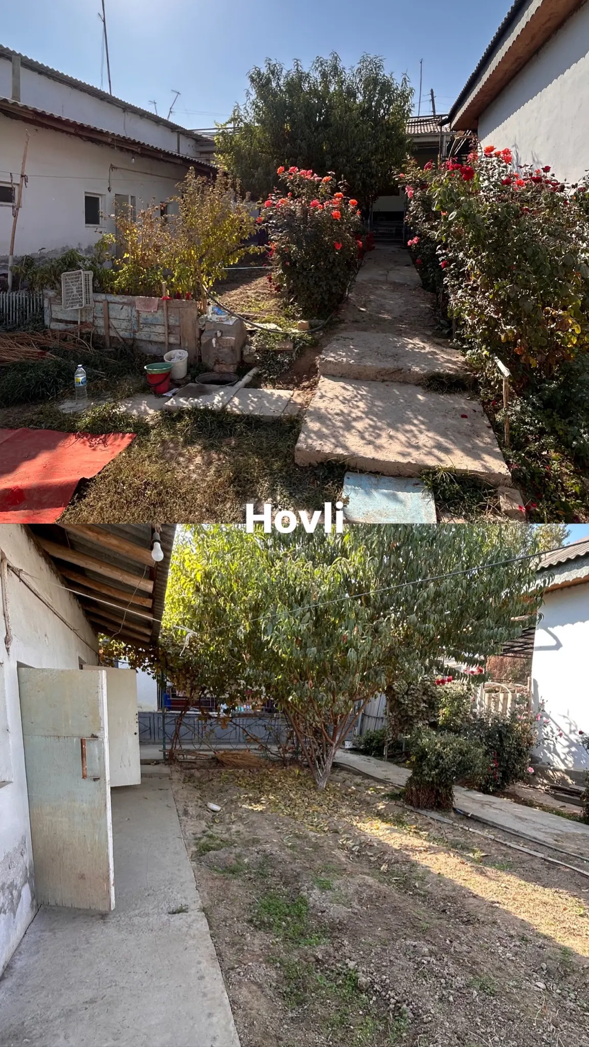 Sotiladi hovli uy, 4.8 sotix — Yangiyoʻl tumani