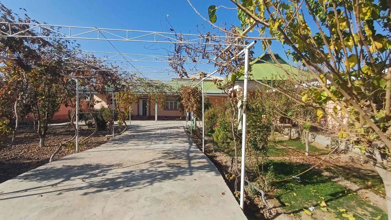 Sotiladi hovli uy, 12 sotix, 1 qavatli — Termiz shahri