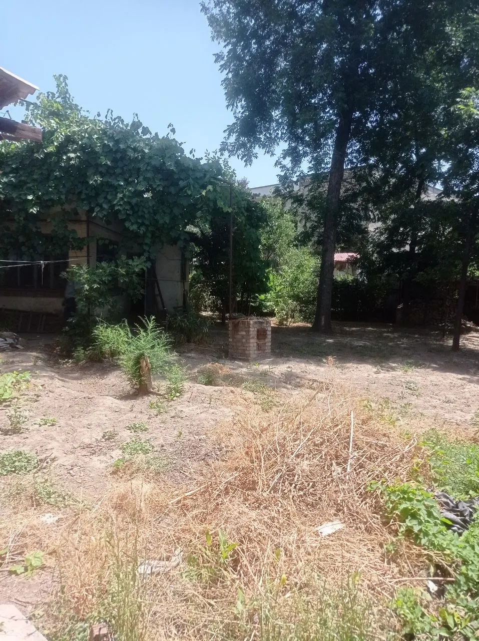 Sotiladi 1 xonali hovli uy, 65 m² — Mirzo Ulugʻbek tumani