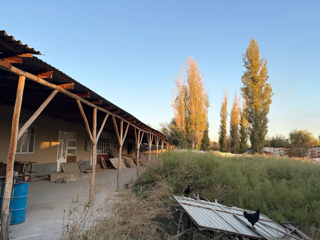 Ijaraga beriladi tijorat binosi, 3000 m², 60 sotix — Zangiota tumani