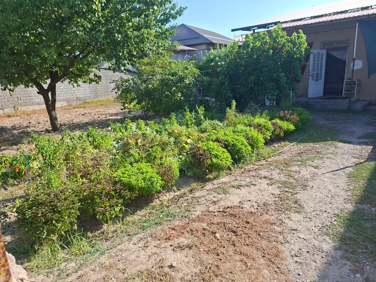 Sotiladi hovli uy, 4 sotix — Yashnobod tumani