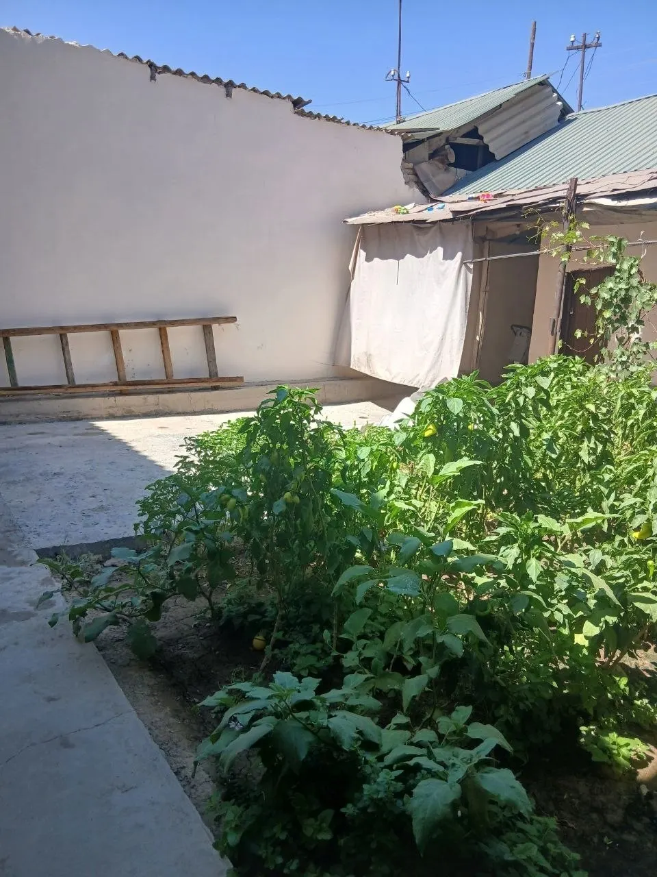Sotiladi 6 xonali hovli uy, 158 m² — Yashnobod tumani