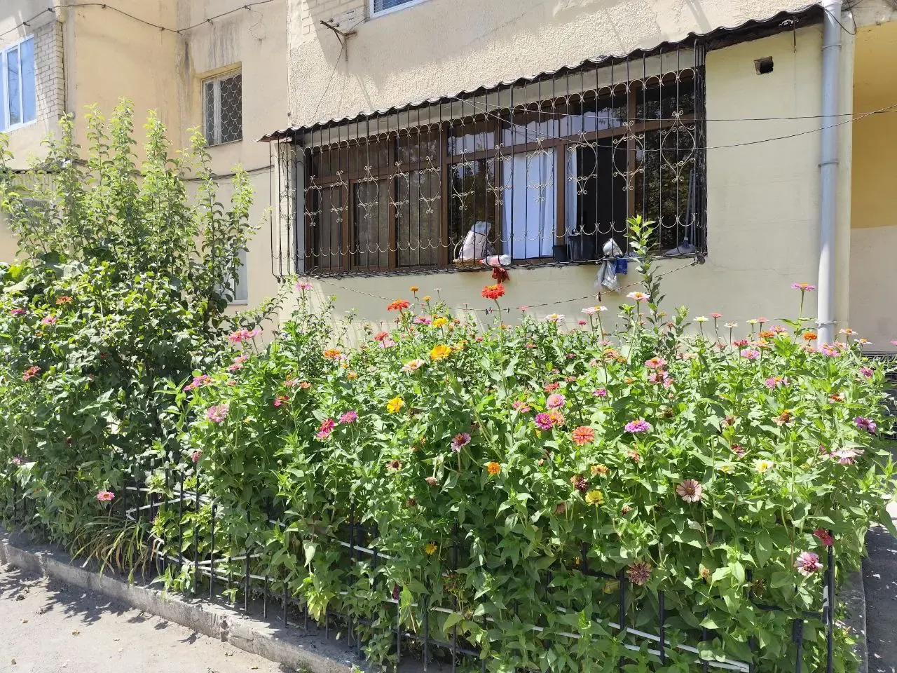 Сотилади 5 хонали квартира, 116 м², 1/4 қават — Миробод тумани
