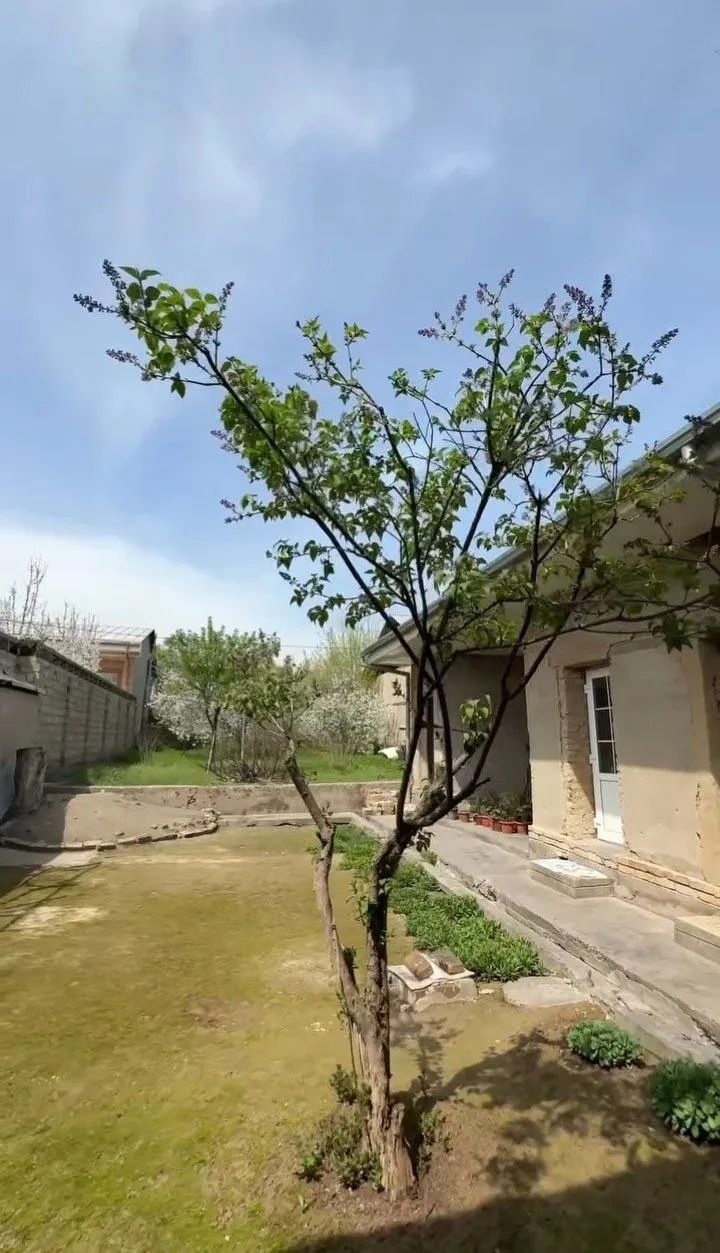 Sotiladi hovli uy, 8 sotix — Qibray tumani