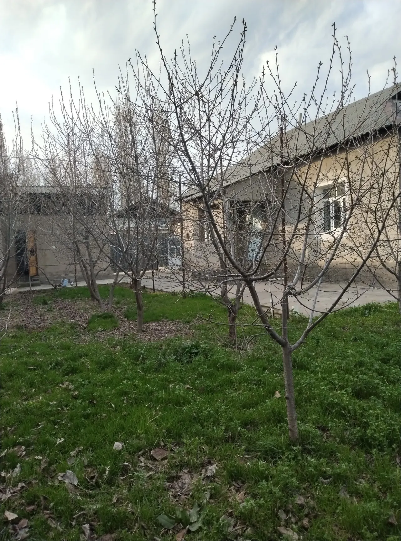 Sotiladi 5 xonali hovli uy, 9 sotix — Yuqorichirchiq tumani