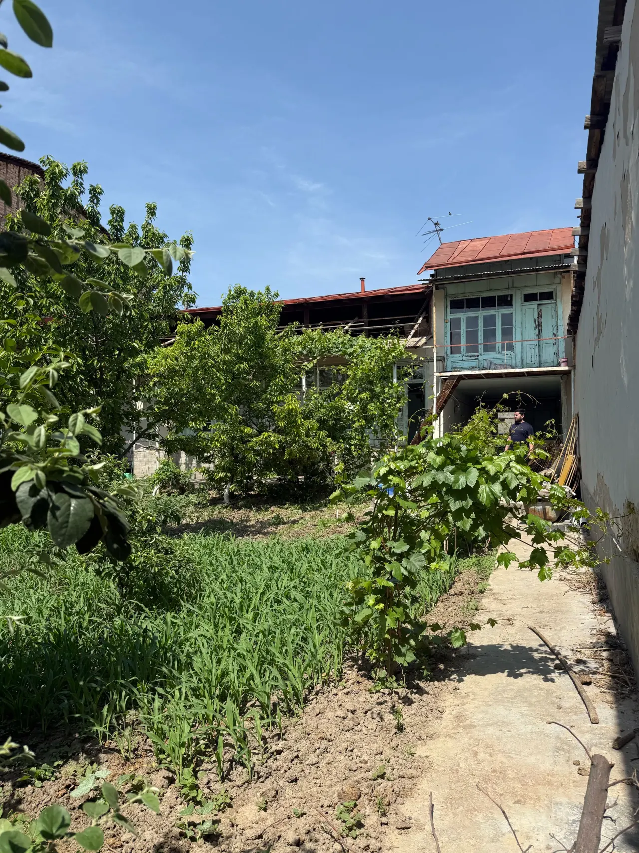 Sotiladi hovli uy, 3.5 sotix — Uchtepa tumani