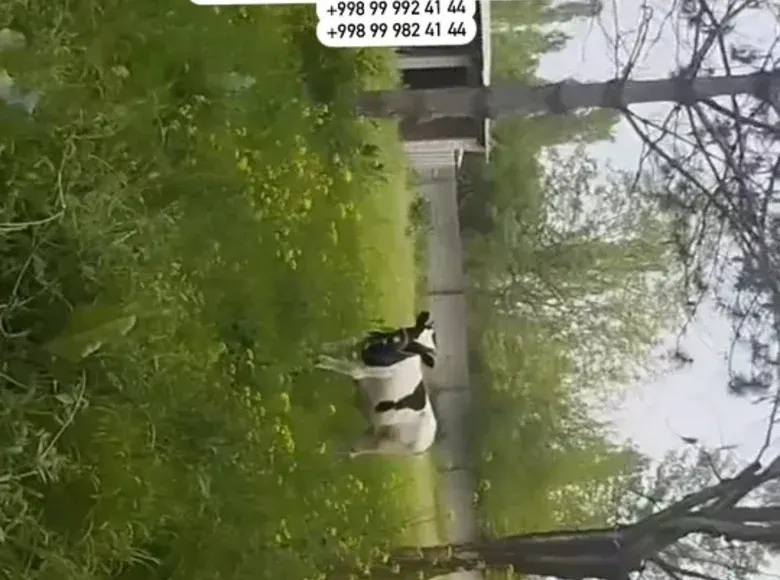 Сотилади ер участкаси