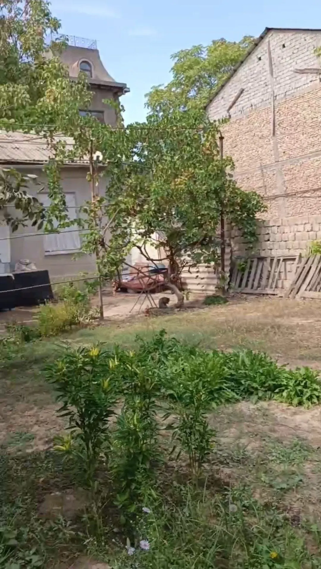 Sotiladi hovli uy, 280 m² — Mirzo Ulugʻbek tumani