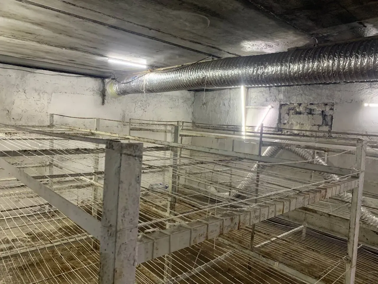 Ижарага берилади тижорат биноси, 70 м² — Яшнобод тумани