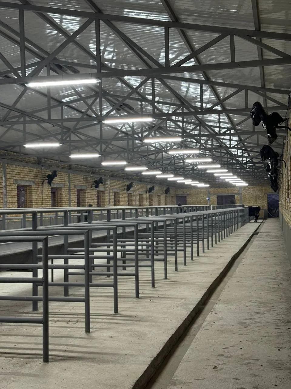 Sotiladi tijorat binosi, 2000 m², 40 sotix — Zangiota tumani