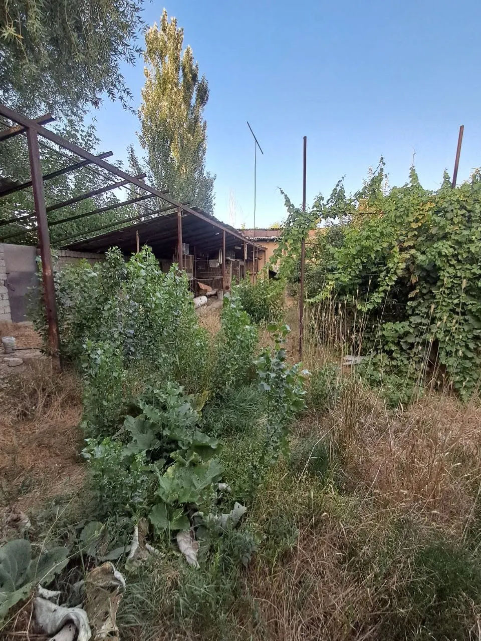 Продаётся дом, 8 сот., 1 этаж — Кибрайский район