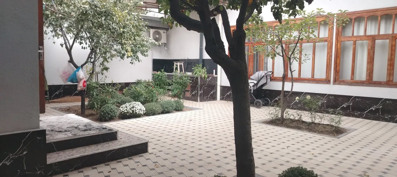 Sotiladi hovli uy, 3,8 sotix, 1 qavatli — Chilonzor tumani