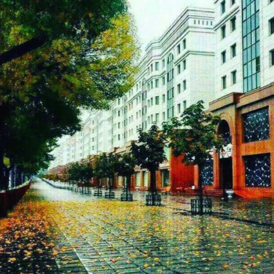Ижарага берилади 3 хонали квартира, 105 м², 4/7 қават — Шайхонтоҳур тумани