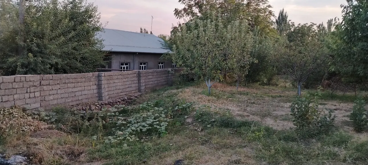 Сотилади ер участкаси, 5 сотих — Бўстонлиқ тумани