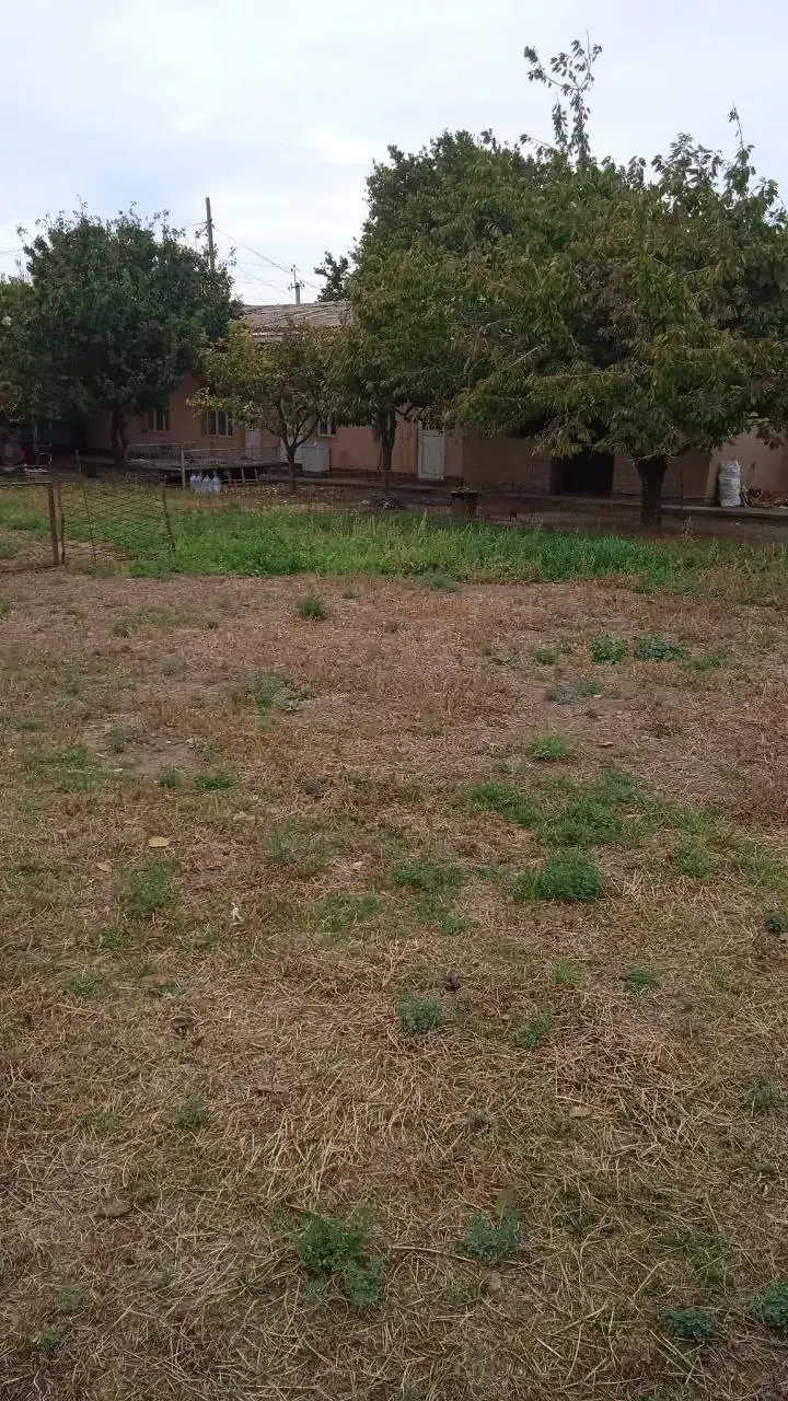 Sotiladi hovli uy, 4 sotix, 1 qavatli — Qibray tumani